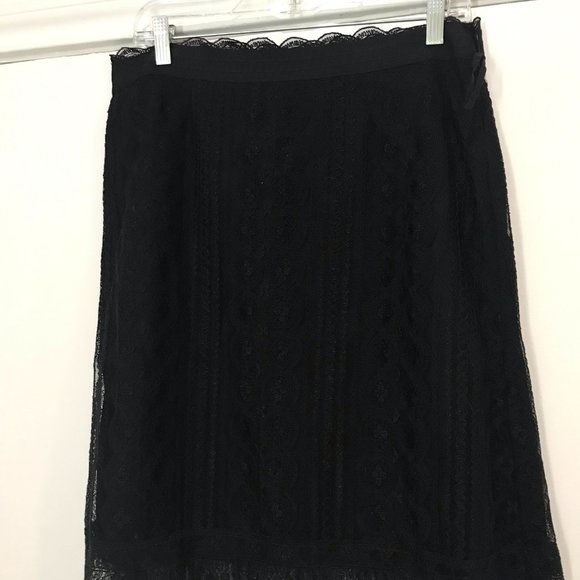Lace Skirt (Lined) - Picture 1 of 5